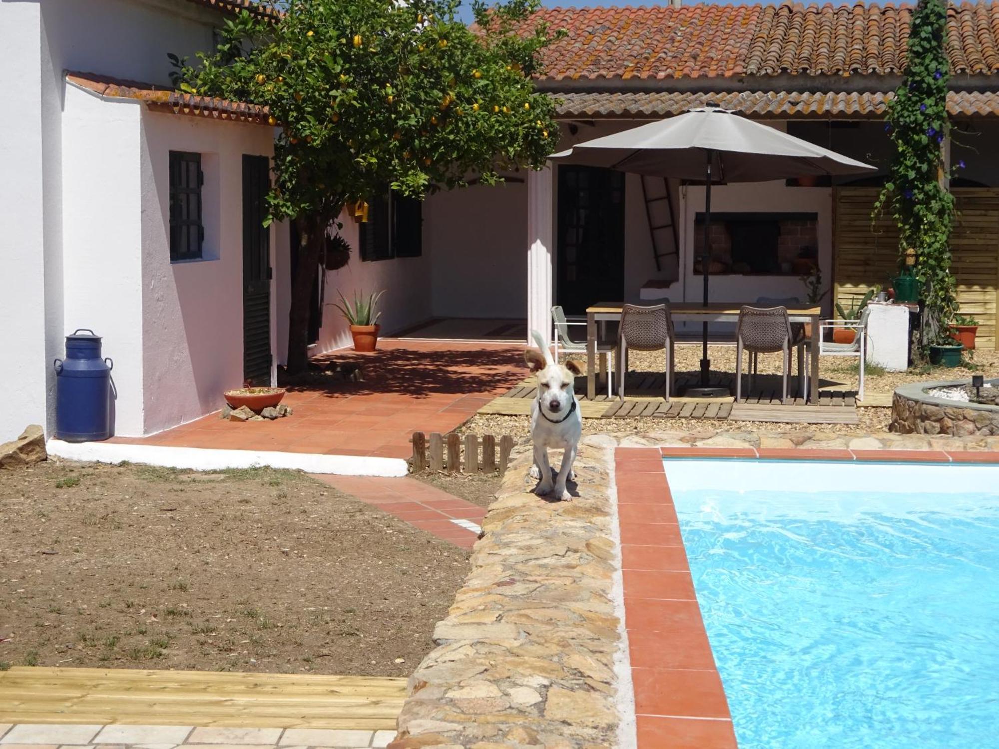 New Village Vila Nova da Baronia Extérieur photo